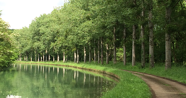canal de Bourgogne