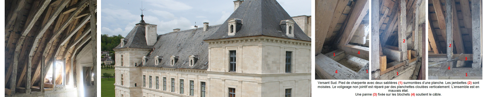 restauration sauvegarde du patrimoine en bourgogne chateau d'Ancy le Franc toiture don crowdfunding mécénat